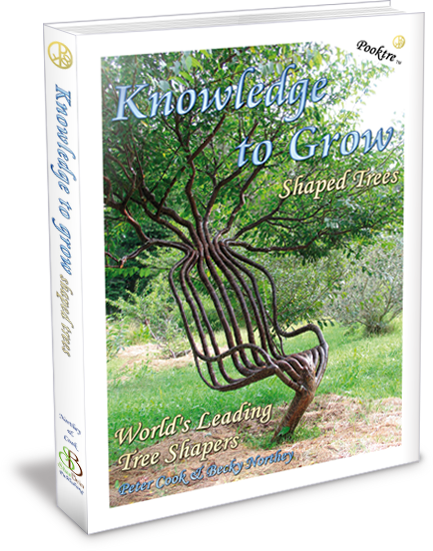 Knowledge to Grow Shaped Trees (KtG Shaped Trees)